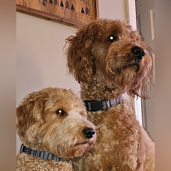 Meet your Posher, Michelle - Picture 2 of 3